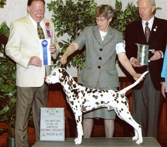 Argus's 1st DCA