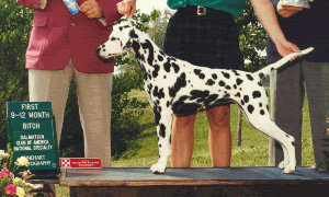 Isabel winning her class at DCA