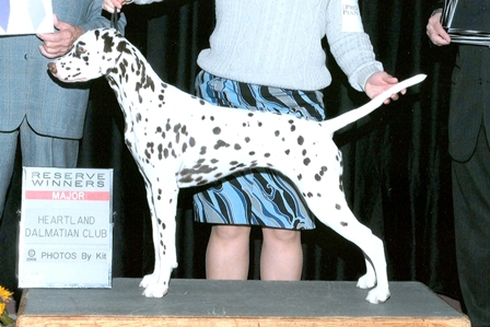 Pauli